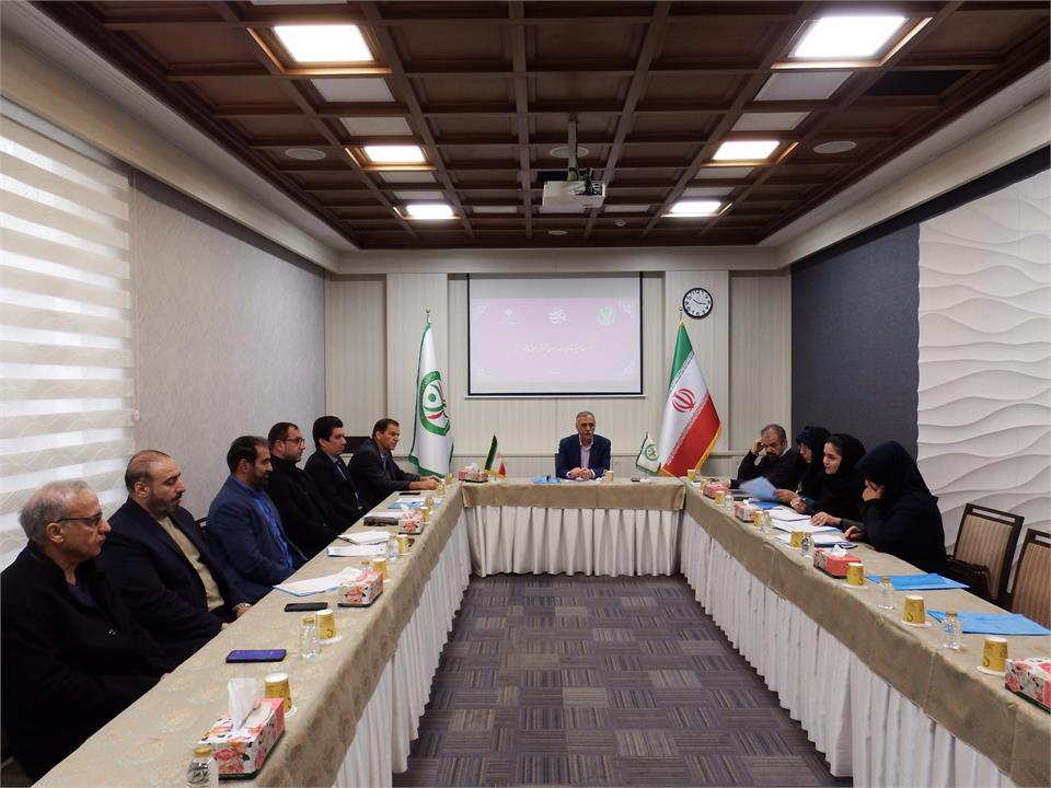 فدراسیون آمادگی جسمانی و تندرستی، نشست هیات رییسه